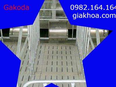 Hướng dẫn lắp đặt tấm đan chuồng heo